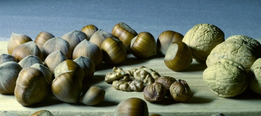 Imagem da notícia Alimentos com magnésio: seus benefícios e quantidade diária