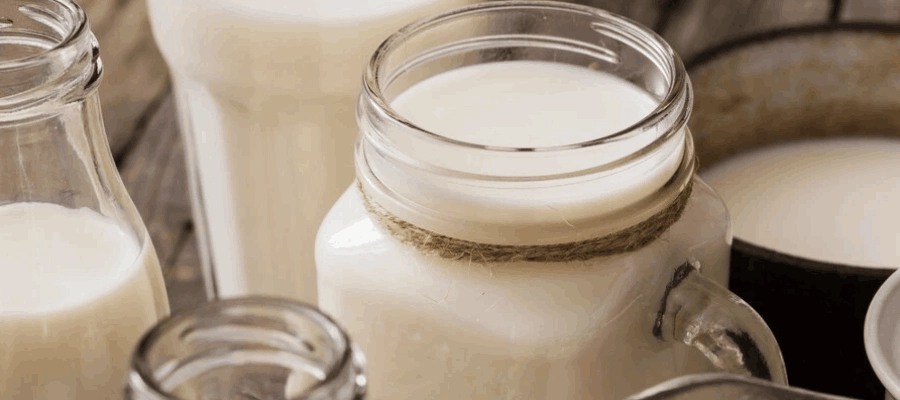 Imagem da notícia Leite fermentado é bom para diarreia? Descubra os benefícios