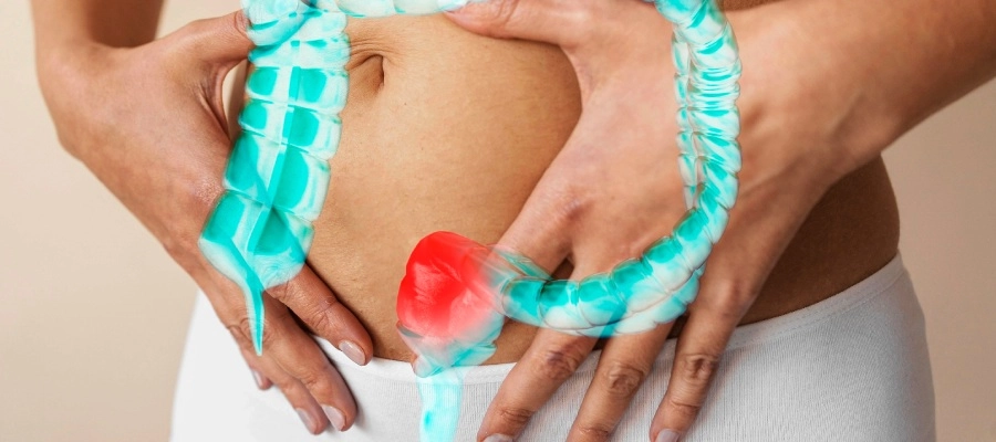 Imagem da notícia Intestino grosso: entenda seu papel no sistema digestivo