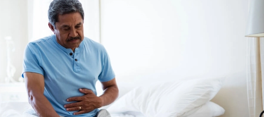 Imagem da notícia O que é febre tifoide? Como diagnosticar e tratar a doença?