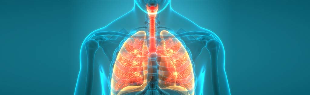 Imagem da notícia Xilitol pode reduzir carga viral de SARS-CoV-2 no aparelho respiratório superior